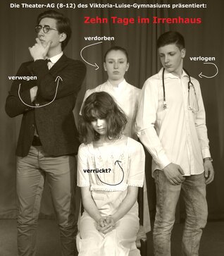 Zehn_Tage_im_Irrenhaus_