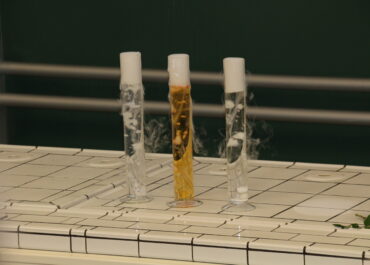 3. Runde „Chemie – die stimmt“