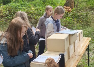 Der Wald im Herbst – Warum die Tiere fett und die Blätter bunt werden!